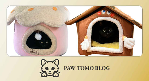 猫にとってハウスが必要な理由とPAW TOMOのこだわり